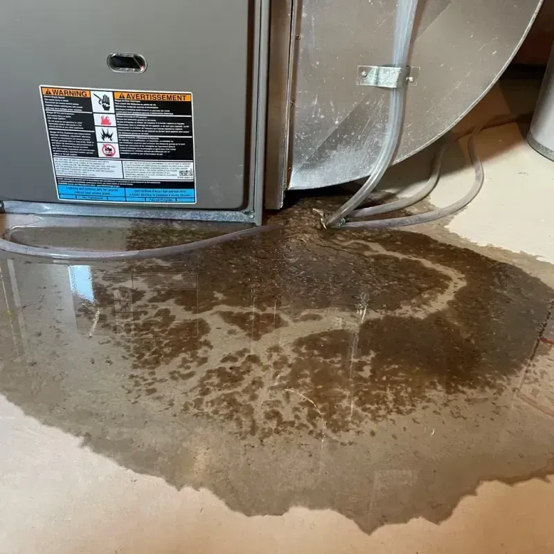 Appliance Leak Cleanup in Bergen County, NJ